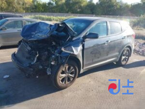 2016 Hyundai SantaFe Gray - KMHSW81UDHU724780