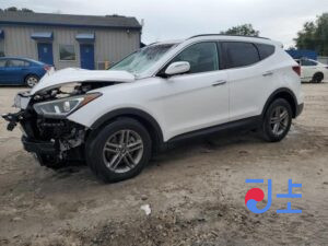 2018 Hyundai SantaFe White - KMHS381CBKU104874