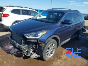 2017 Hyundai SantaFe Dark Blue - KMHSW81UBJU821437