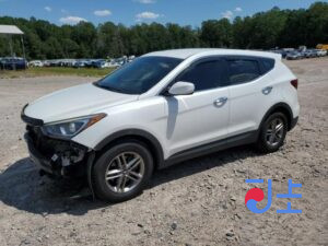 2018 Hyundai SantaFe White - KMHS381BBKU037609
