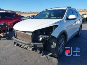 2016 Hyundai SantaFe White - KMHSW81XBHU719542