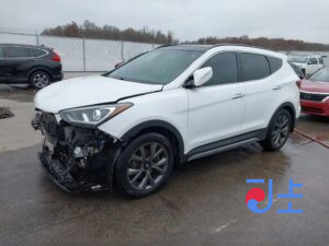 2018 Hyundai SantaFe White - KMHS381CDKU009575