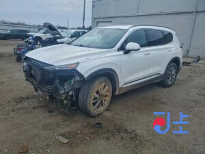 2019 Hyundai SantaFe White - KMHS281BBKU177081