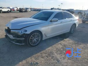 2017 BMW 5-Series 520d White — WBAJC3105HG921965