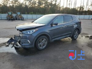 2018 Hyundai SantaFe Gray - KMHS381CBKU012030
