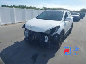 2017 Hyundai SantaFe White - KMHSW81UBJU811471