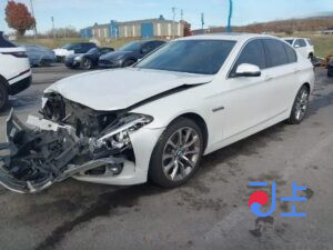 2016 BMW 5-Series 520d White — WBA5E5102GG200119