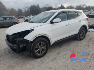 2015 Hyundai SantaFe White - KMHSW81UDGU595488