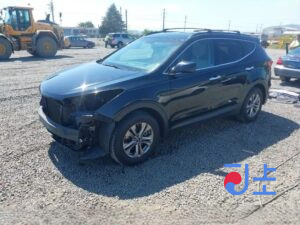 2016 Hyundai SantaFe Black - KMHSW81UBGU665647