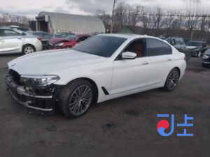 2017 BMW 5-Series 520d White — WBAJC3102JWB78115