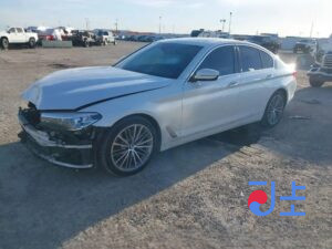 2017 BMW 5-Series 520d White — WBAJC3109HG926134
