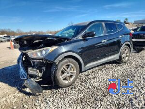 2017 Hyundai SantaFe Black - KMHSW81XDJU822941