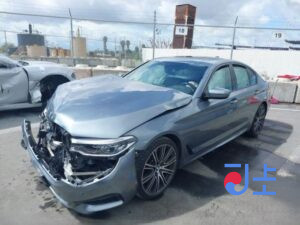 2017 BMW 5-Series 520d xDrive Gray — WBAJC5101HG852526