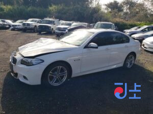 2015 BMW 5-Series 520d White — WBA5E5105GG068442
