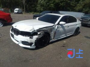 2017 BMW 5-Series 520d White — WBAJC310XHG924425