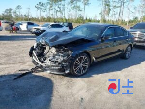 2017 BMW 5-Series 520d xDrive Black — WBAJC510XJG861280