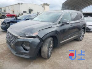 2020 Hyundai SantaFe Gray - KMHS381HGMU318576