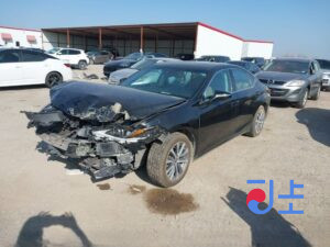 2020 Lexus ES300H Black — JTHB21B18L2096479