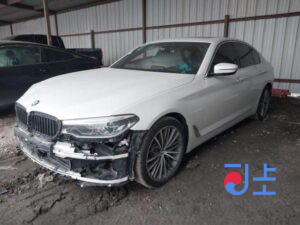 2017 BMW 5-Series 520d xDrive White — WBAJC5100HG857216