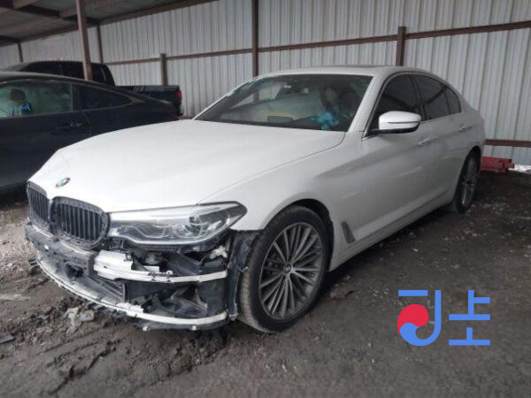 2017 BMW 5-Series 520d xDrive White — WBAJC5100HG857216