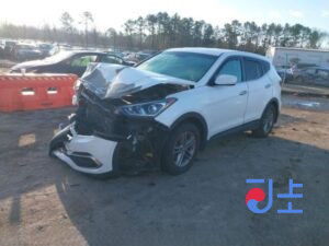 2018 Hyundai SantaFe White - KMHS281CBKU108743