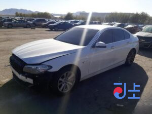 2016 BMW 5-Series 520d xDrive White — WBA5E7108GG566971