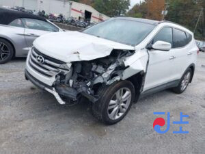 2016 Hyundai SantaFe White - KMHSW81UBGU675882