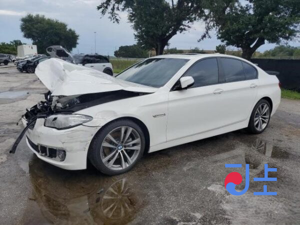 2015 BMW 5-Series 520d xDrive White — WBA5E7101FG152669