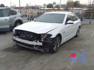 2016 BMW 5-Series 520d White — WBA5E5104GG203779