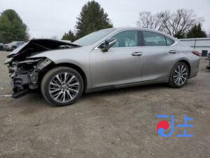 2019 Lexus ES300H Gray — JTHB21B19K2057088