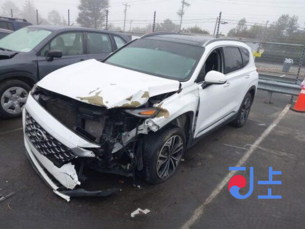 2019 Hyundai SantaFe White - KMHS581ABLU239184