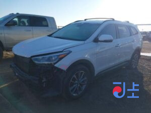 2018 Hyundai Santa Fe White - KMHS381CBKU008719