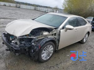 2016 Lexus ES300H Gold — JTHBW1GG2G2117799
