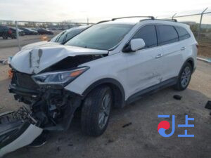 2018 Hyundai SantaFe White - KMHS381BBKU107729