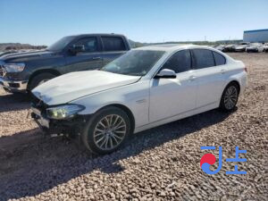 2016 BMW 5-Series 520d White — WBA5E5104GG206181