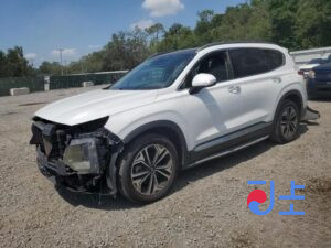 2019 Hyundai SantaFe White - KMHS581ABKU158823