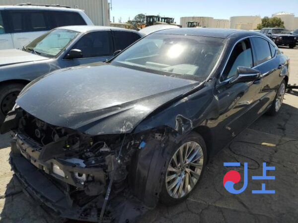 2019 Lexus ES300H Black — JTHB21B12L2070671