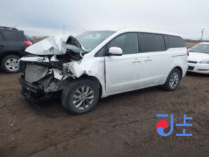 2021 Kia Carnival White - KNANE81BBMS066779