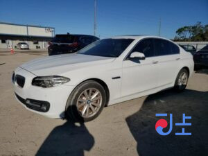 2016 BMW 5-Series 520d White — WBA5E5103GG201182