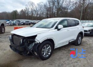 2019 Hyundai SantaFe White - KMHS381BDLU194797