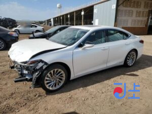 2019 Lexus ES300H White — JTHB21B12K2058194