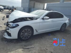 2020 BMW 5-Series 523d White — WBA11ES00MCF03589