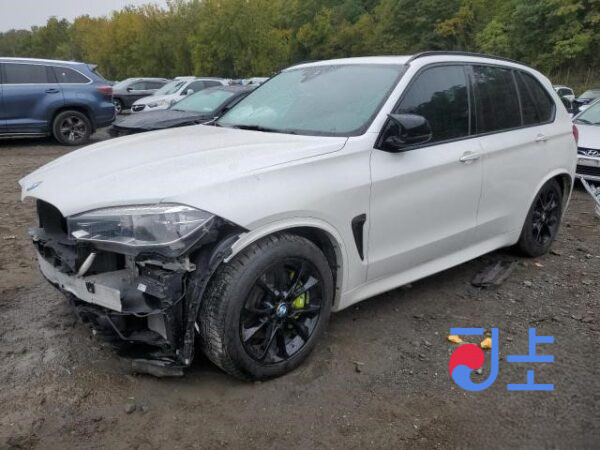 2018 BMW X5 xDrive30d M Sport White — WBACV6103KLJ65328