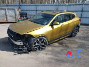 2018 BMW X2 xDrive20d Gold — WBAYL1109JEG03936