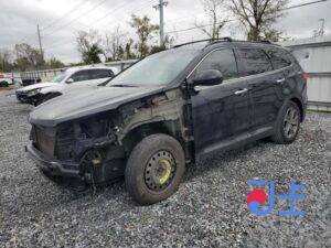2016 Hyundai SantaFe Black - KMHSW81UBHU720988