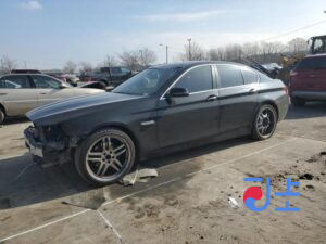 2014 BMW 5-Series 520d xDrive Black — WBA5B9101ED566796