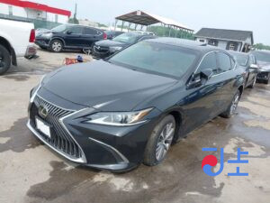 2021 Lexus ES300H Black — JTHBA1C12M2005239