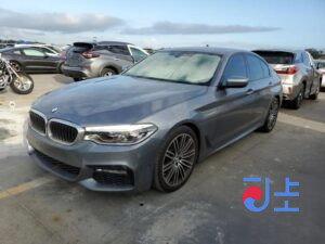 2017 BMW 5-Series 520d xDrive Gray — WBAJC5100HWB83464