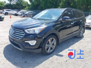 2016 Hyundai SantaFe Black - KMHSW81UBGU631448