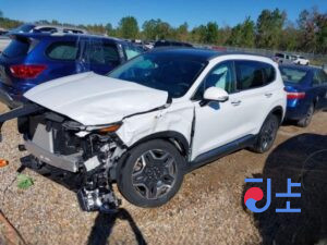 2021 Hyundai SantaFe White - KMHS381LGMU365098